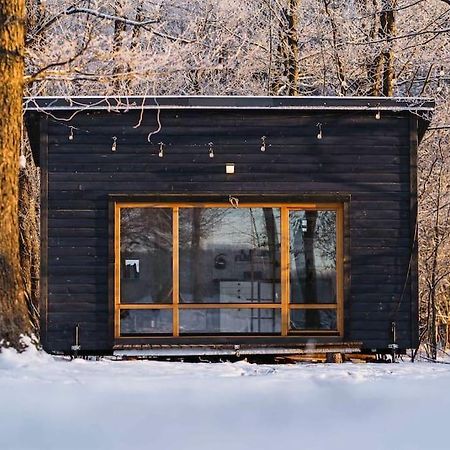 Beautiful Tiny House On The Lake Side. Тракай Экстерьер фото